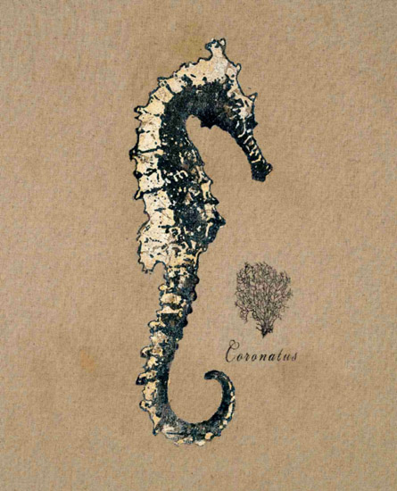 Compatible Nature morte Jahrriesnge  for seahorse-lpf00180 