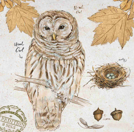 Compatible Nature morte Jahrriesnge  for owl-lpf00192 