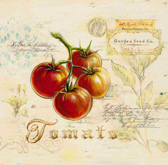 Compatible Nature morte Jahrriesnge  for tomato-lpf00277 