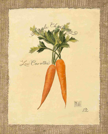 Compatible Nature morte Jahrriesnge  for carrot-lpf00284 