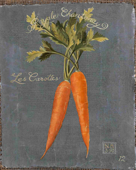 Compatible Nature morte Jahrriesnge  for carrot-lpf00286 