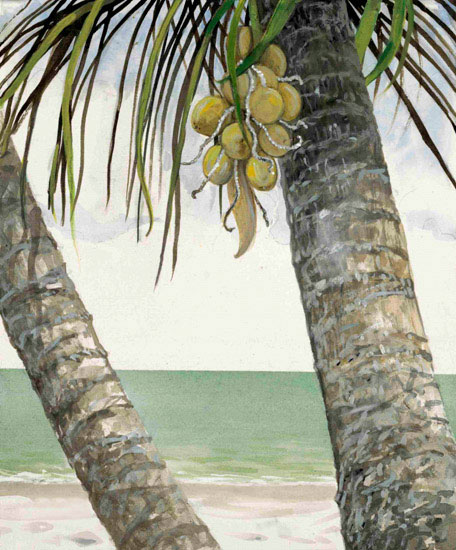 Compatible Paysage JAHRRIESNGE  for coconut-tree-lpf00845 