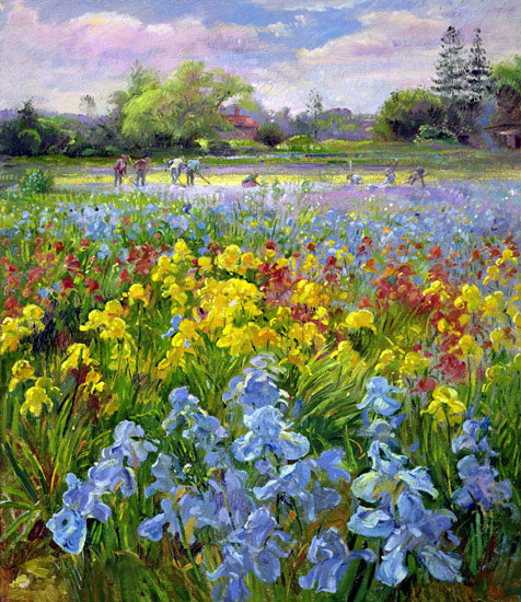 Paysage for Jahrriesnge flower-field-lpf02507 Compatible Paysage Jahrriesnge for flower-field-lpf02507