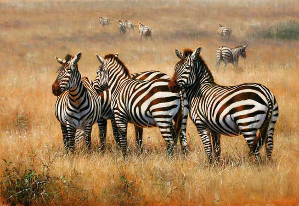 Compatible Animaux Jahrriesnge  for African-Zebra-lpf02545 