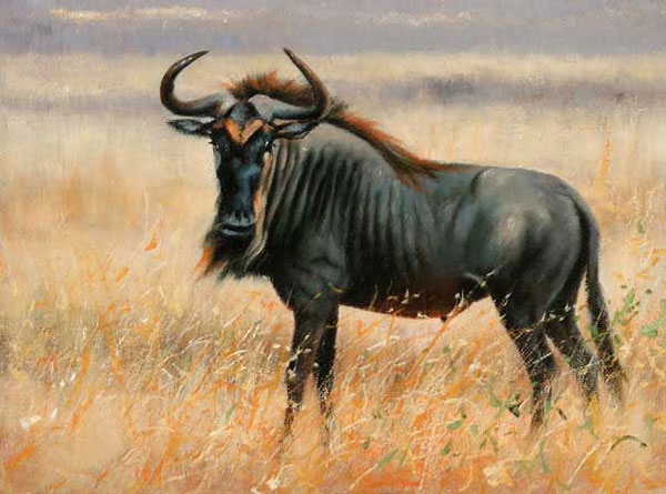 Compatible Animaux Jahrriesnge  for wildebeest-lpf02552 