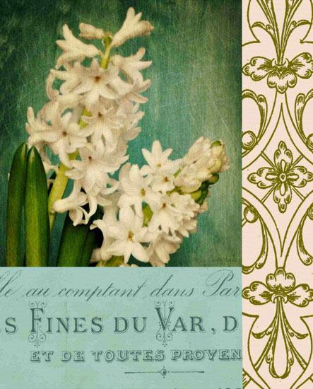 Compatible Floral JAHRRIESNGE  for flowers lpf09652 