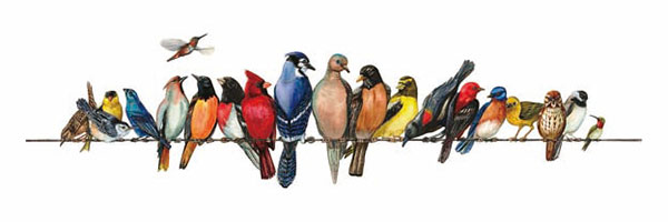 Compatible Animaux Jahrriesnge  for birds-song-lpg1000 