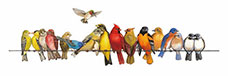 Jahrriesnge birds song lpg1001 Animaux